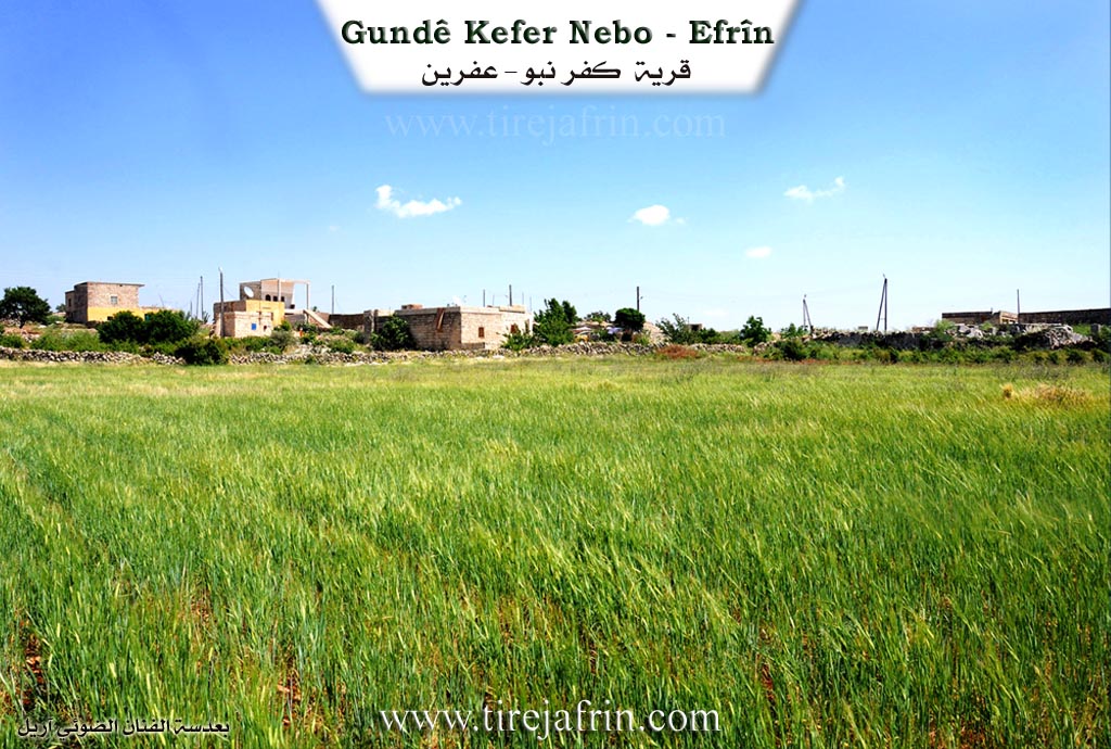 Photo of Kefernebo